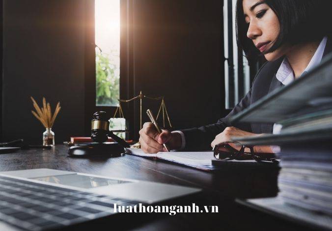 Thành phần, tư cách, năng lực chủ thể của đương sự trong tố tụng dân sự Việt Nam.