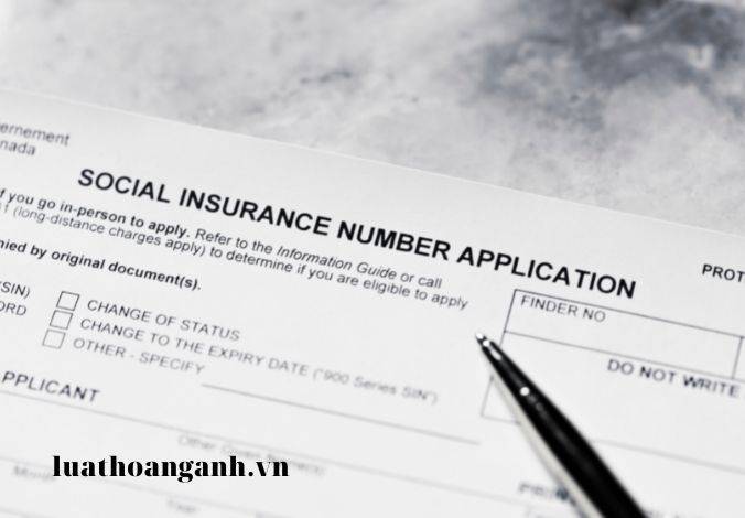 Dịch vụ tư vấn về bảo hiểm xã hội