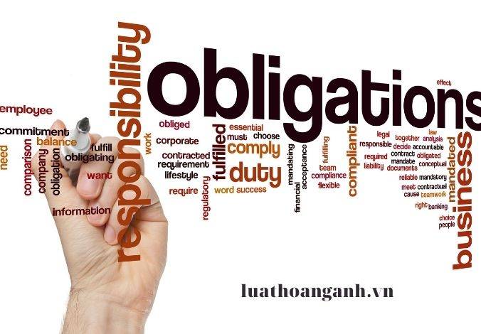 Nghĩa vụ của chủ sở hữu của công ty trách nhiệm hữu hạn một thành viên là gì?