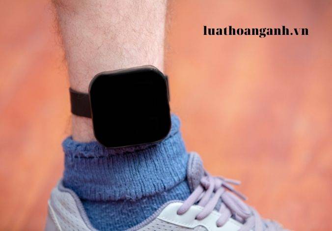 Người được hưởng án treo phải chịu giám sát, giáo dục như thế nào?