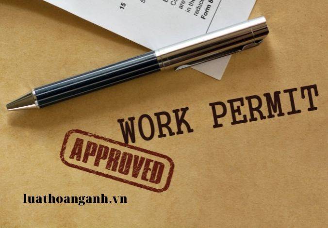 Dịch vụ tư vấn xin giấy phép con