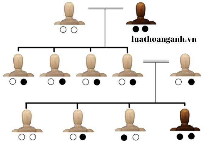 Các hàng thừa kế theo pháp luật?