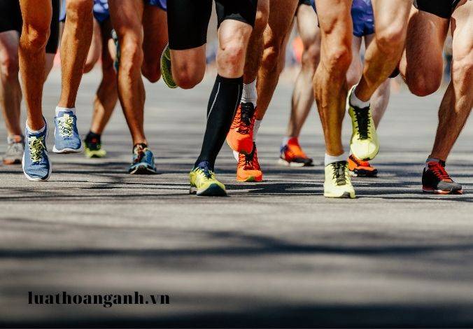 Cơ chế hoạt động và cơ chế phối hợp của Văn phòng đăng ký đất đai là gì?