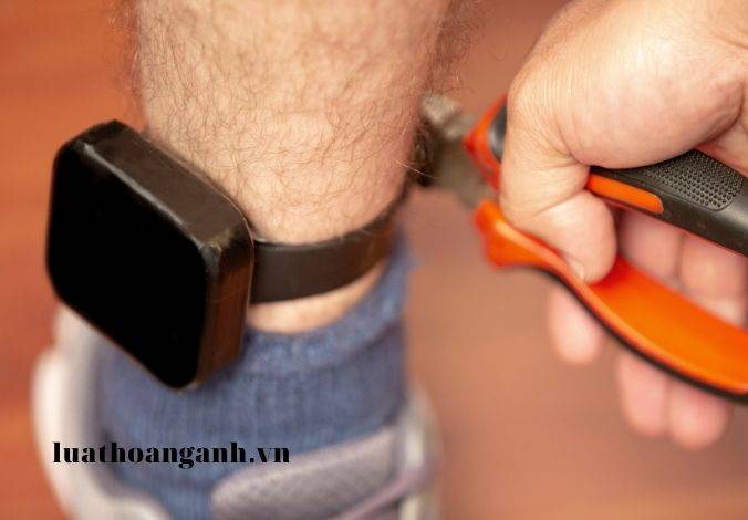 Tội chiếm đoạt người dưới 16 tuổi là gì?