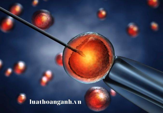 Giải quyết tranh chấp liên quan đến việc sinh con bằng kỹ thuật hỗ trợ sinh sản, mang thai hộ vì mục đích nhân đạo như thế nào?