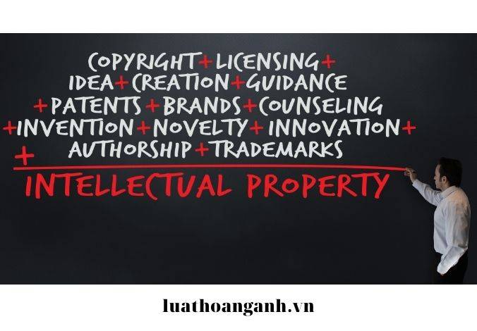 Các nguyên tắc bảo hộ quyền đối với giống cây trồng?