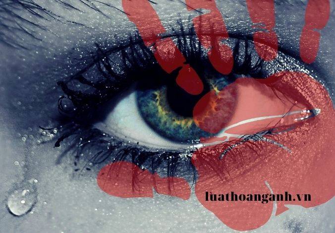 Áp dụng Luật xử lý vi phạm hành chính đối với hành vi vi phạm hành chính ở ngoài lãnh thổ nước Việt Nam là gì?