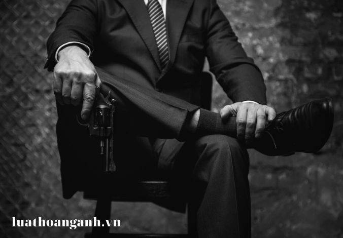 Tội trồng cây thuốc phiện, cây cô ca, cây cần sa hoặc các loại cây khác có chứa chất ma túy là gì?