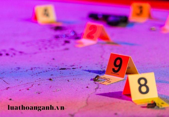 Xem xét dấu vết trên thân thể?