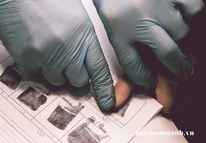 BLTTHS 2015 quy định như thế nào về tiến hành giám định?