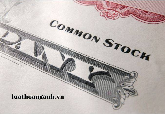 Nghĩa vụ của tổ chức phát hành, tổ chức kiểm toán, tổ chức, cá nhân liên quan đến hồ sơ đăng ký chào bán chứng khoán ra công chúng?