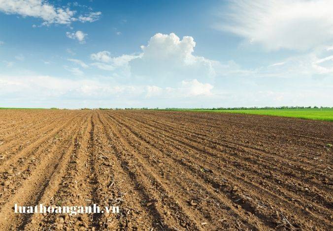 Tổng hợp các bài viết về Luật Kinh doanh bất động sản 