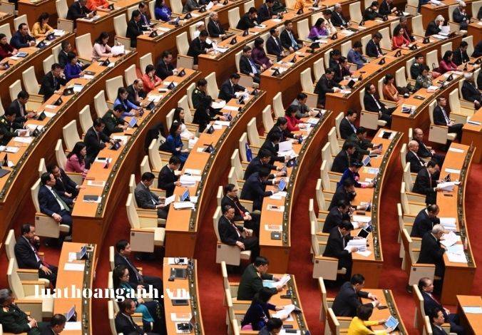 Biểu quyết tại phiên họp toàn thể như thế nào?