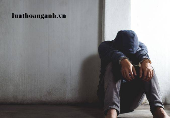 Các tội xâm phạm trật tự quản lý hành chính là gì?