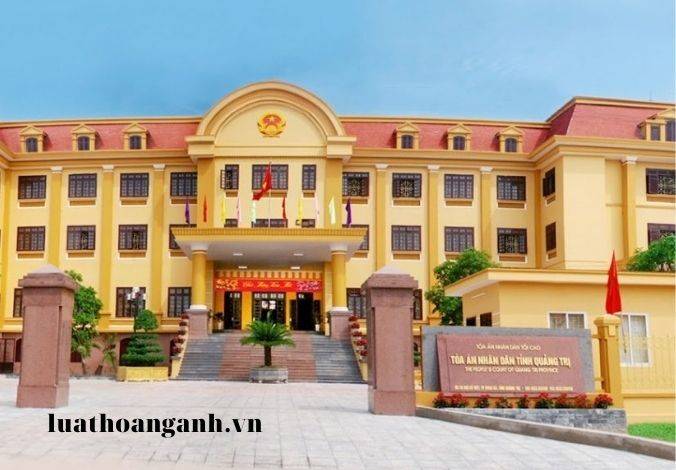 Vi phạm quy định về cạnh tranh khác gì vi phạm quy định về đấu thầu?