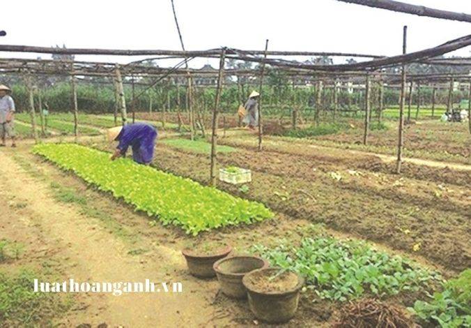 Các đối tượng nào được miễn gọi nhập ngũ trong thời chiến? (P3) 