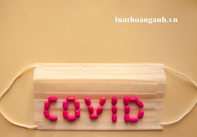 Tổ chức cách ly y tế như thế nào?