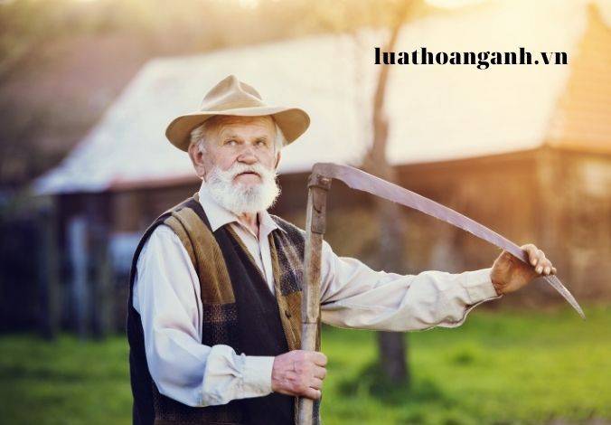 Tổng hợp bài viết về Luật người cao tuổi