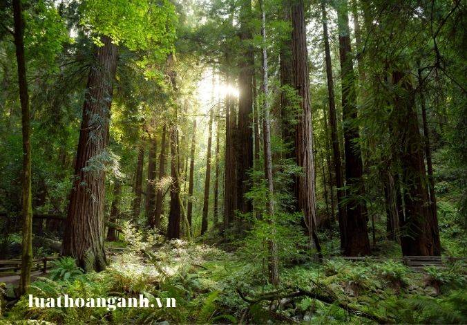 Đối tượng phải có giấy phép môi trường là gì?