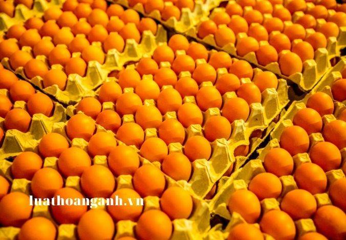 Đối tượng tiếp cận thông tin, giáo dục, truyền thông về an toàn thực phẩm?