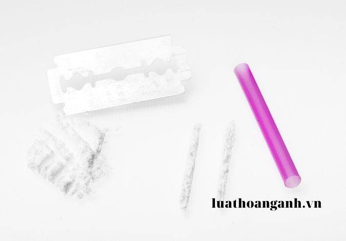 Các hành vi bị cấm trong quản lý, sử dụng vũ khí, vật liệu nổ, tiền chất thuốc nổ và công cụ hỗ trợ là các hành vi nào? 