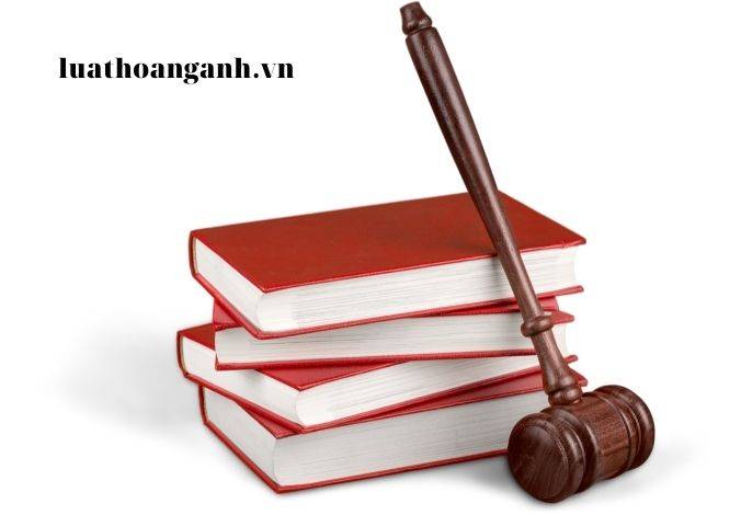 Thẩm quyền quyết định cho phép mở ngành và trình tự, thủ tục mở ngành đào tạo đối với cơ sở giáo dục đại học là gì?