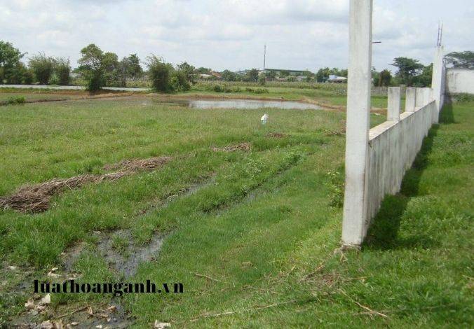 Xử lý chất thải rắn sinh hoạt là gì? (Phần 2)