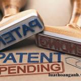 Hoạt động hợp tác quốc tế về hải quan như thế nào?