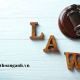 Lấy mẫu, lưu mẫu hàng hóa xuất khẩu, nhập khẩu như thế nào?