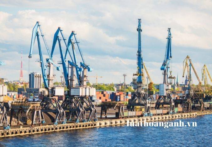 Vi phạm về tạm xuất tái nhập hàng hóa bị xử phạt như thế nào?