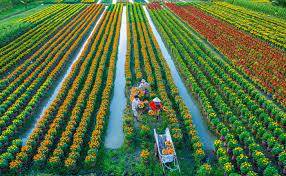 Kiểm soát việc nuôi trồng loài ngoại lai có nguy cơ xâm hại được quy định như thế nào?