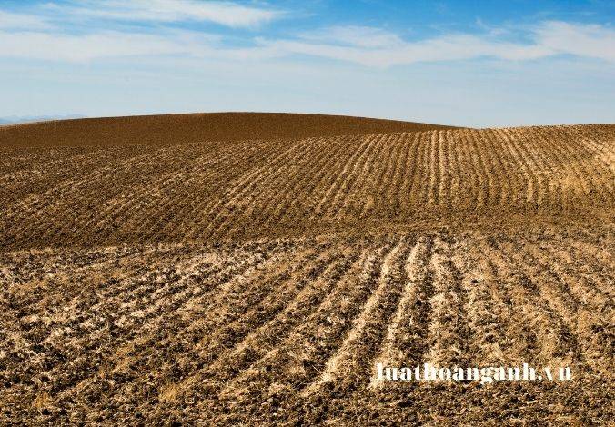 Hồ sơ cấp, gia hạn, trả lại giấy phép khai thác khoáng sản được quy định như thế nào?