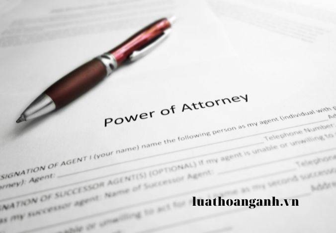 Các lĩnh vực và hình thức trợ giúp pháp lý ?