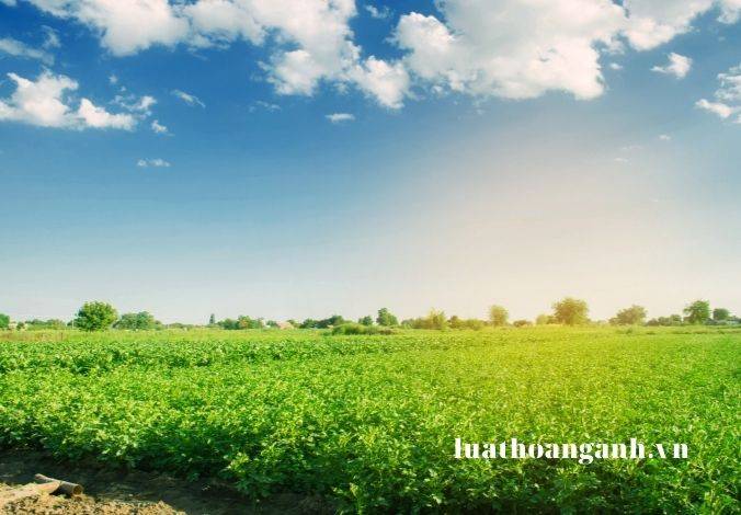 Đánh giá tác động của biến đổi khí hậu được quy định như thế nào?