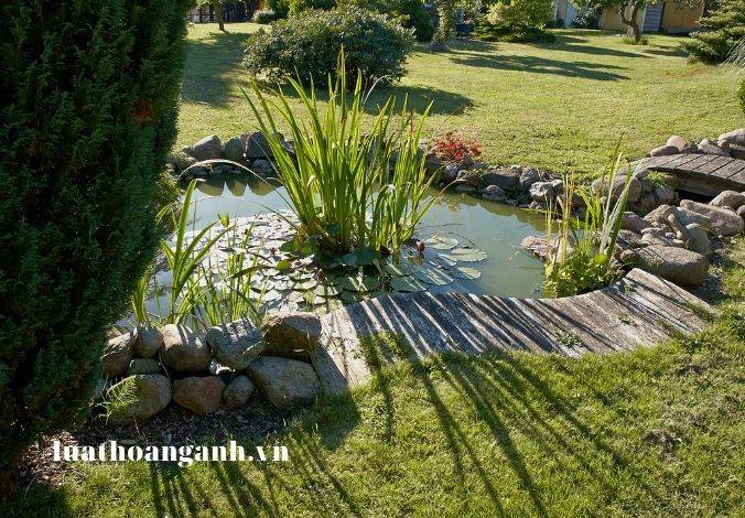 Chính sách của Nhà nước về tài nguyên nước là gì? (Phần 1)