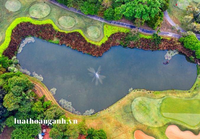 Chuyển nhượng quyền khai thác tài nguyên nước được quy định như thế nào?