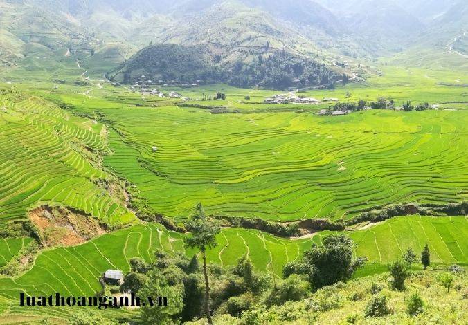 Nguyên tắc, căn cứ lập quy hoạch tổng thể khai thác, sử dụng bền vững tài nguyên vùng bờ là gì?