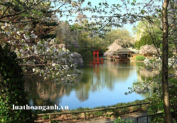 Kiểm soát ô nhiễm môi trường biển từ các hoạt động trên biển được quy định như thế nào? (Phần 1)