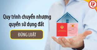 Thủ Tục Chuyển Nhượng Quyền Sử Dụng Đất Được Quy Định Như Thế Nào?