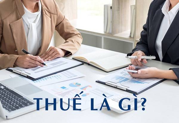 Các loại thuế doanh nghiệp phải nộp là gì?