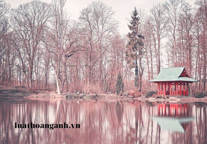 Vệ tinh viễn thám là gì?