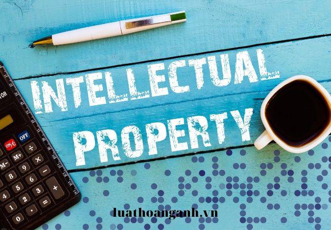 Quyền và nghĩa vụ của người sử dụng thư viện là gì?