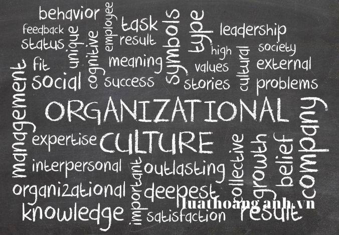 Điều kiện, thủ tục tổ chức biểu diễn nghệ thuật?