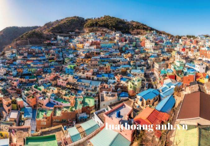 Tổ chức cuộc thi người đẹp, người mẫu như thế nào?