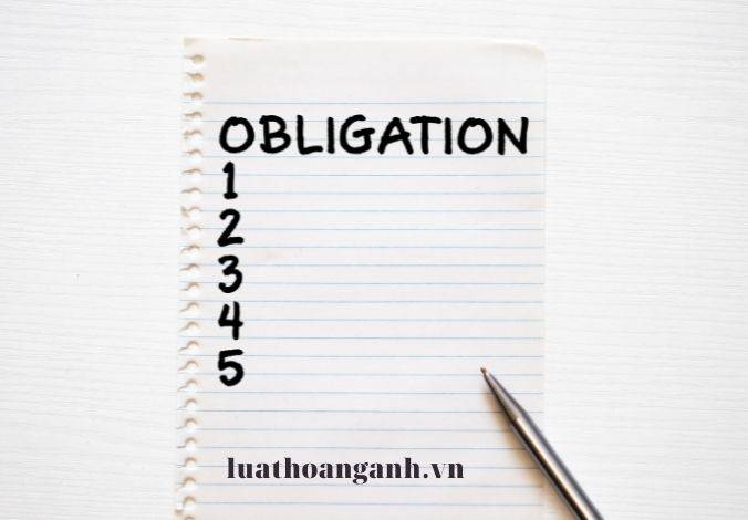 Tổng hợp bài viết về Luật Hàng không dân dụng