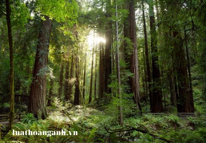 Thực hành tiết kiệm, chống lãng phí trong quản lý tài nguyên