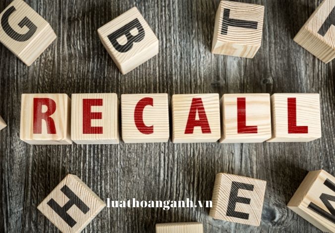 Một số dự án được Ủy ban nhân dân tỉnh chấp thuận chủ trương đầu tư theo Luật Đầu tư năm 2005, bị chậm tiến độ có được điều chỉnh tiến độ dự án hay không?